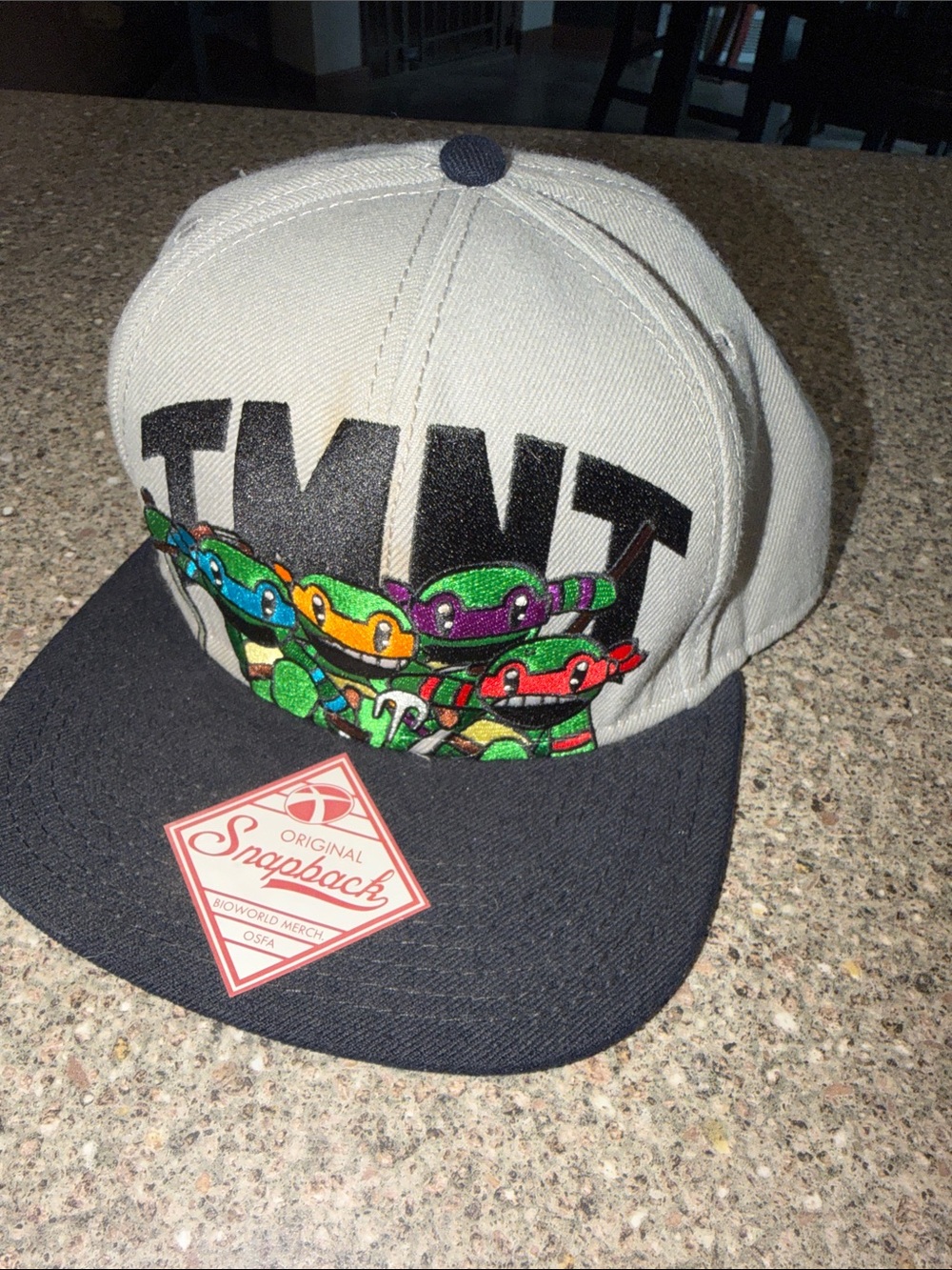 Nickelodeon TMNT Gray and Navy Snapback Hat Pizza Brim